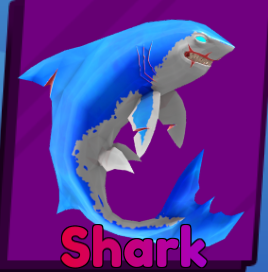 Shark